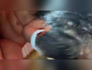 Sex Videos with Dogs - Intimate and Exciting Moments