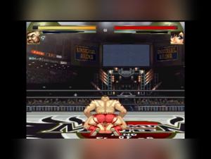 Compilation of Tifa de Mugen in shocking zoophilia scenes