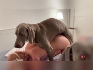 Canine Encounters: Delight & Intimacy