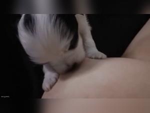 Bestiality sex video: a woman and a dog