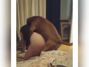 Submissive woman and bestiality: a shocking video