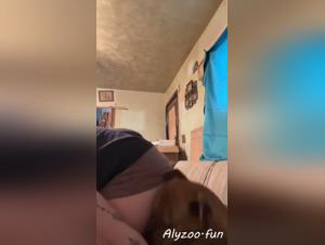 Fucking my cat with my favorite dog