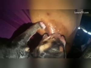 Vidéo de zoophilie avec un chiot