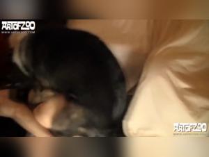canine zoophilia videos