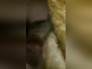 Extreme bestiality: two men and a dog