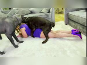 Wild Encounter: A Bestial Experience