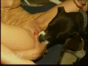 Blue-haired Goddess and Her Canine Lover