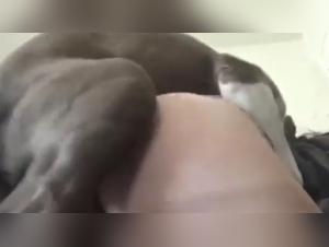 Forbidden Meeting: Woman and Dog