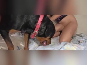 Bestiality sex video with masked teen and dog