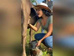 Bestialita con un cavallo: un'esperienza unica