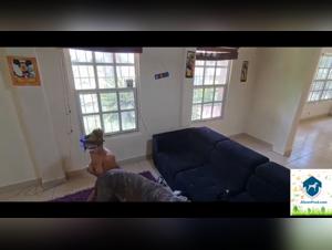 The slutty fuck with my dog - Hardcore Porn Videos