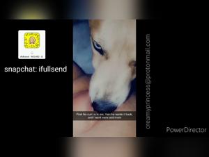 Bestiality Videos: Explore your Fantasies