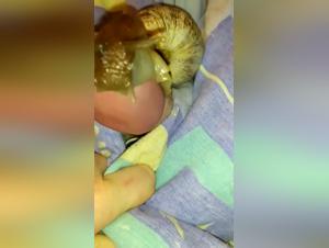 Naughty snail: a bestial and extreme encounter