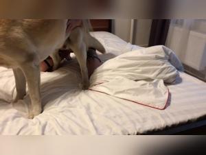 Sonya and her canine companion: an intense zoophilia video