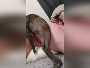 Bestiality: A woman and her dog in an intense scene