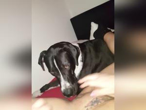 The Blonde Woman Fucks Her Dog in an Intense and Shocking Scene