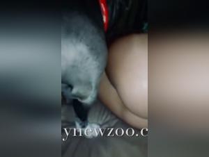 Celebrating Canine Affection