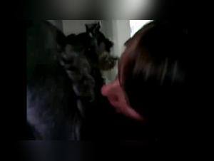 MILF in the dark room: a bestiality sex video not to be missed