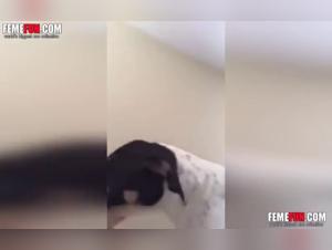 Woman and Dog: An Unexpected Sexual Encounter