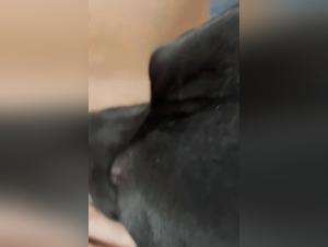 A beastly encounter: woman and dog