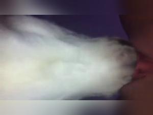 Bestiality Sex Videos: Deep Licking
