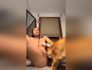 Bestiality Sex Videos - Extreme XXX Pornos