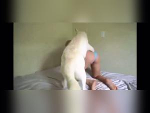 bestialitysex with animalpornrocks