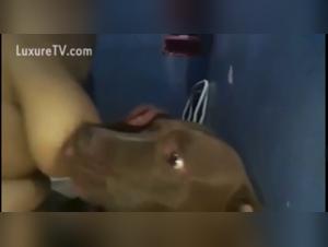 woman breastfeeding dog in bathroom