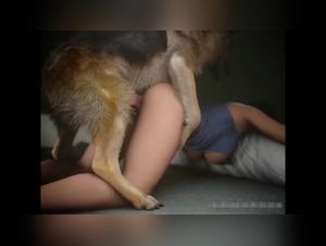 animated compilations women and dogs