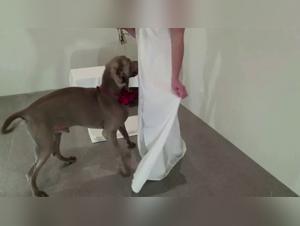 alyzoo intimate explorations