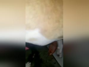 zoofilia video dog fucking