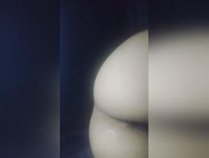 Delving into the Dark Realm of Tick Zoo