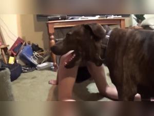 Zoo Animal Porno - Sexe Extreme avec Chien