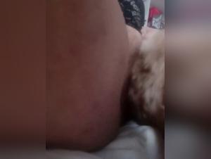 bestiality alisonprod