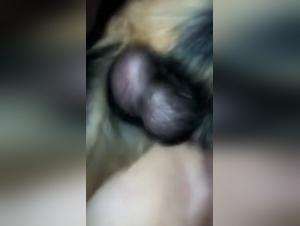 Extreme sex with a dog: amateur teenager discovers bestiality