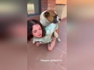 zoo art and zoo skool