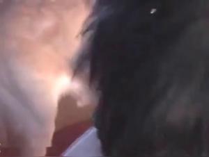 Bestiality sex videos: discover zoophilia in hardcore scenes