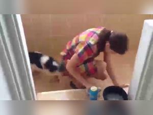 Bestiality Videos: Discover Sex with Dogs