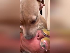 Milf Teaches Her Pooch Some Doggy Style After a Fiery Suck & Fuck