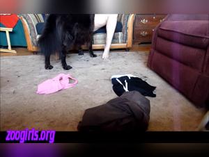 Mary Jane y su amigo canino - Coleccion 05: Una impactante experiencia bestial