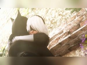 Unveiling Adult Perspectives on Bestiality