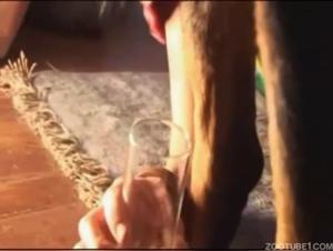Woman drinks sperm from a dog in extreme zoophilia scene