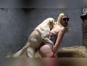 Unveiling Taboos: Sexual Dynamics Explored