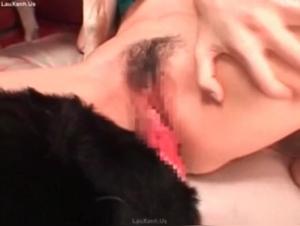 Video of Sex with a Dog