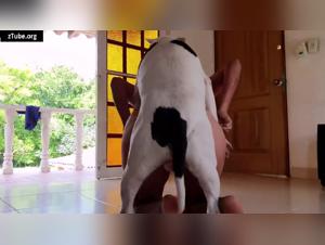 Alison Zoo and her beastly orgy with a dog