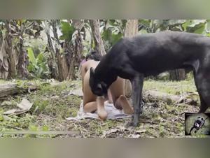 new beastiality artzoo