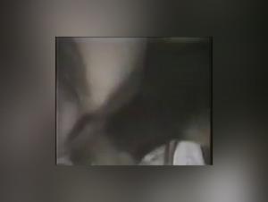 Chubby woman and dog: a beastly encounter