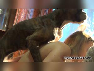 Woman and Dog: An Exciting Encounter