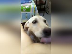 Unpublished zoophilic videos: more than 100 new features to discover