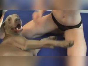 Big boobs and dog: an exciting combination